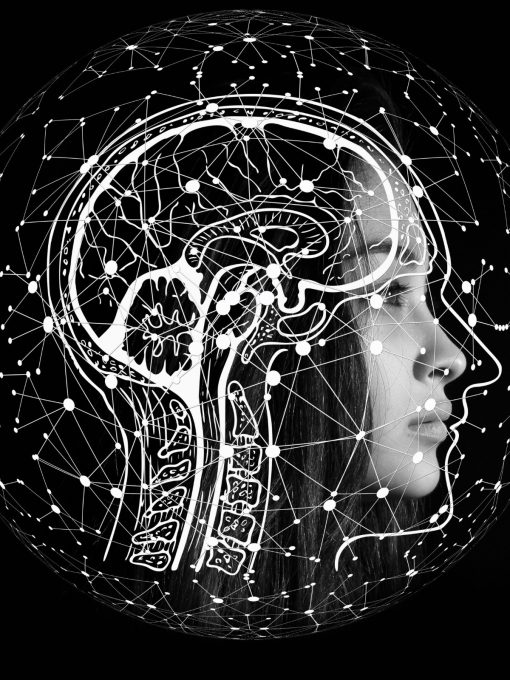 II Curso Teórico-Prático de Estimulação Cerebral Não-Invasiva