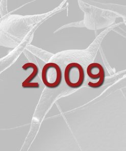 2009