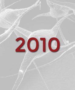 2010