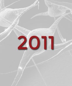 2011