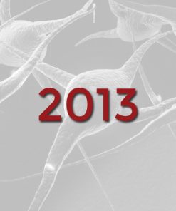 2013