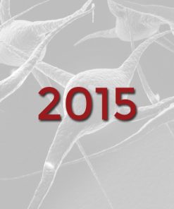 2015