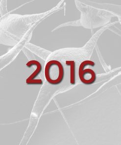 2016