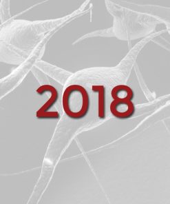 2018