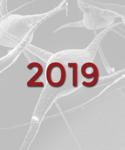2019