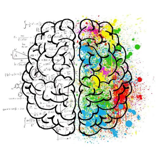 Workshop de Estimulação Transcraniana por Corrente Elétrica 2022