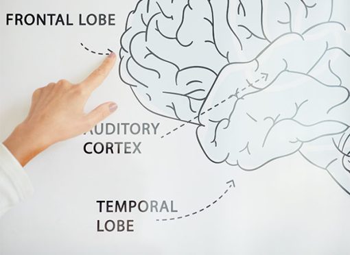 Mini-simposium 4: The critical role of the prefrontal and frontal cortex (2023)